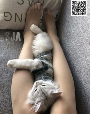 三级图片视频_国产剧免费高清观看